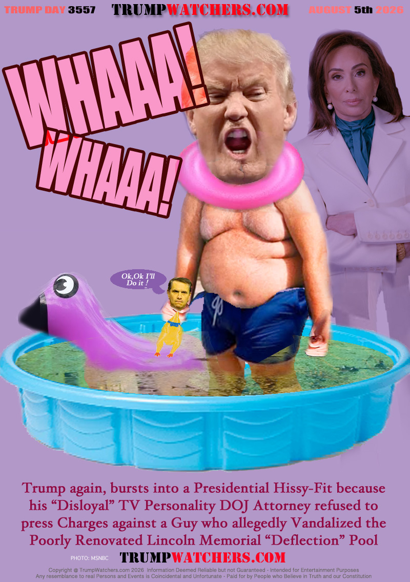 Trump again, bursts into a Presidential Hissy-Fit because
his “Disloyal” TV Personality DOJ Attorney refused to
press Charges against a Guy who allegedly Vandalized the
Poorly Renovated Lincoln Memorial “Deflection” Pool